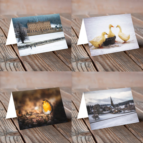 Mixed Pack Other - Christmas Card
